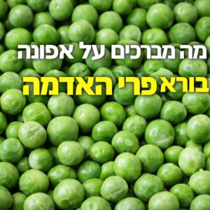 אפונה