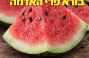 מה מברכים על אבטיח?
