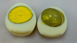 ביצה